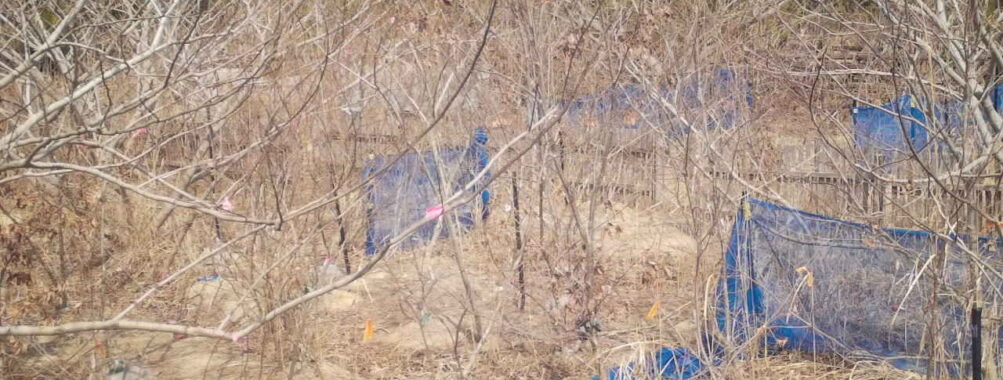 Mar 23 2026 13:13:47, #01