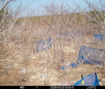 Mar 23 2026 13:13:47, #01