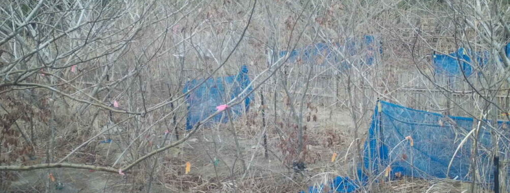 Mar 23 2026 16:13:48, #01