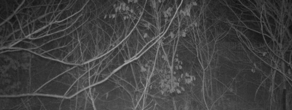 Mar 23 2026 19:13:47, #01