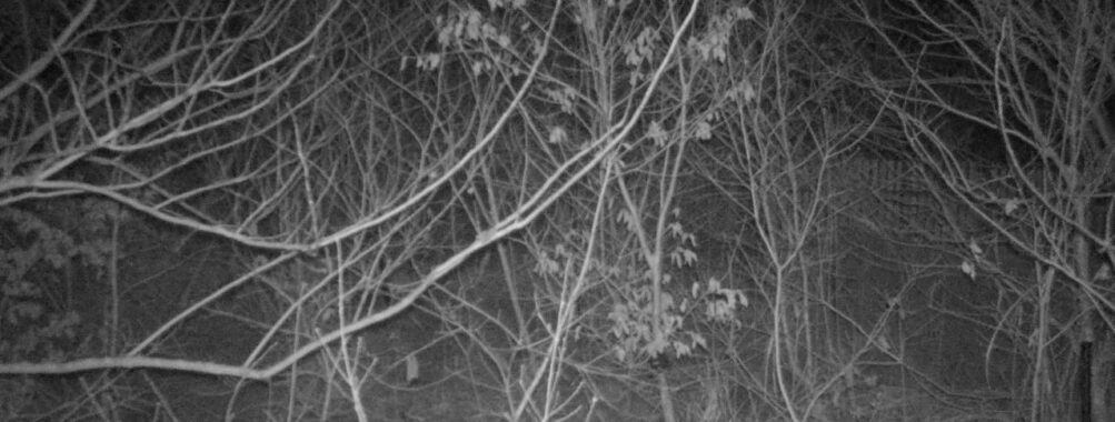 Mar 23 2026 22:13:47, #01