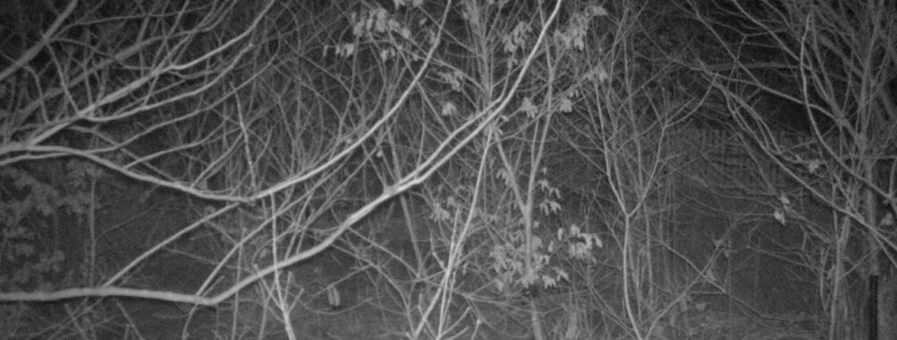 Mar 24 2026  4:13:47, #01