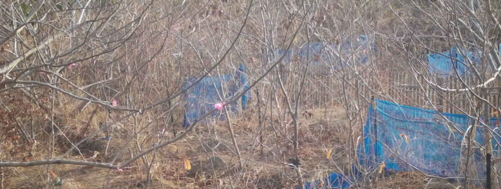 Mar 24 2026  7:13:47, #01