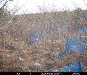 Mar 24 2026  7:13:47, #01