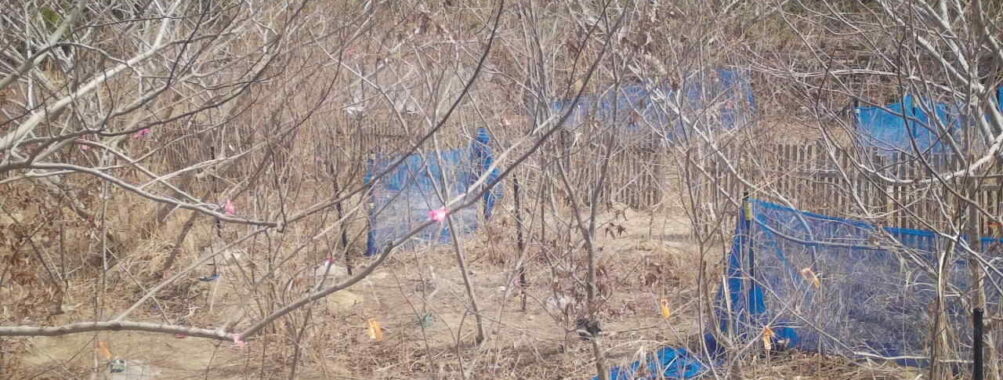 Mar 24 2026 10:13:48, #01