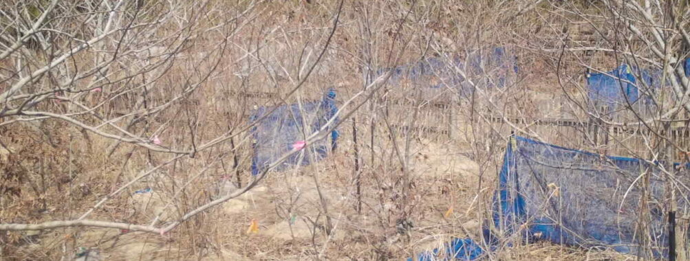 Mar 24 2026 13:13:47, #01