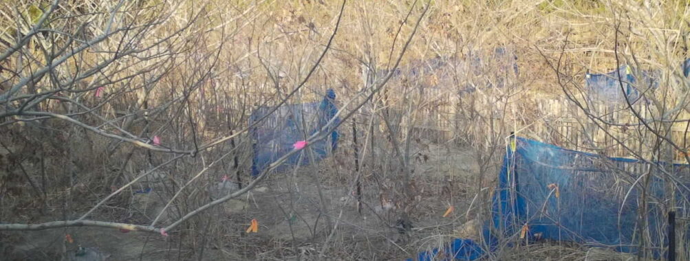 Mar 24 2026 16:13:47, #01