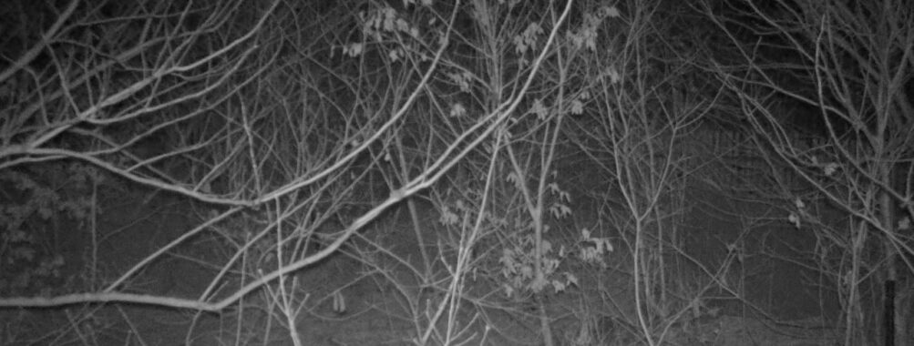 Mar 24 2026 19:13:47, #01