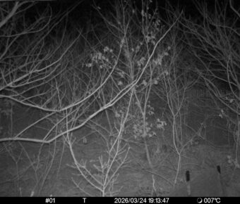 Mar 24 2026 19:13:47, #01