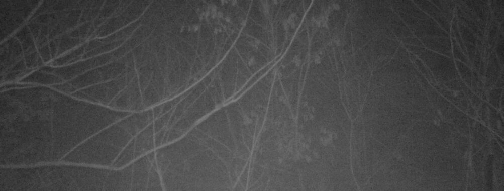 Mar 25 2026  4:13:46, #01